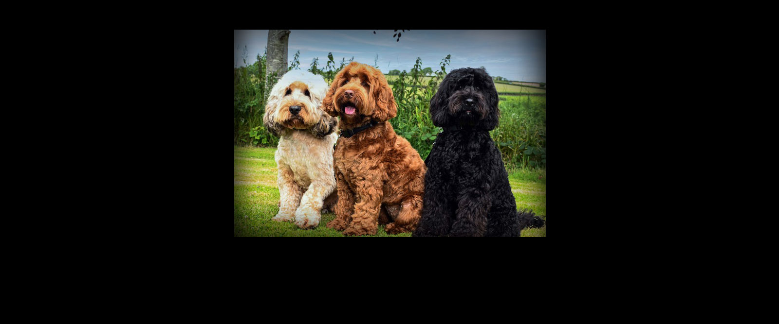 Banner Magazine Shoot