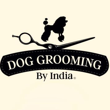 Dog Grooming