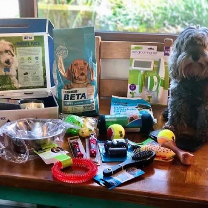Jandaz Puppy Pack